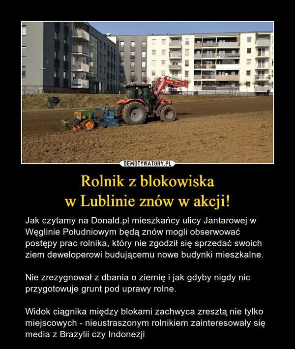 Rolnik z blokowiska
w Lublinie znów w akcji!