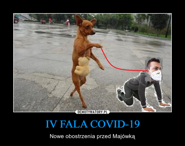 IV FALA COVID-19