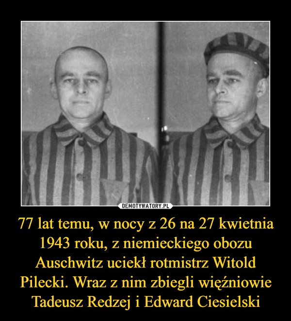 77 lat temu, w nocy z 26 na 27 kwietnia 1943 roku, z niemieckiego obozu Auschwitz uciekł rotmistrz Witold Pilecki. Wraz z nim zbiegli więźniowie Tadeusz Redzej i Edward Ciesielski