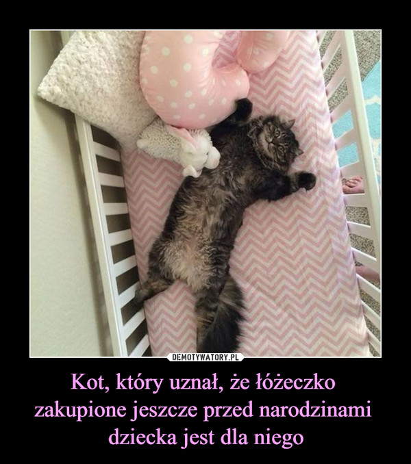 Kot, który uznał, że łóżeczko 
zakupione jeszcze przed narodzinami 
dziecka jest dla niego