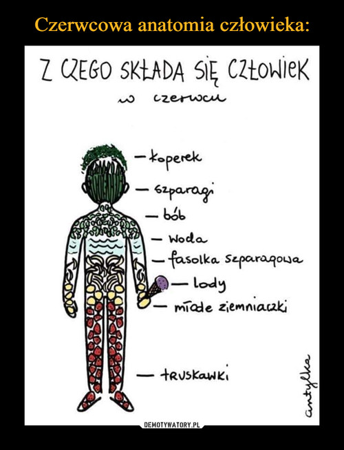 Czerwcowa anatomia człowieka: