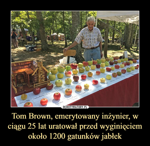 Tom Brown, emerytowany inżynier, w ciągu 25 lat uratował przed wyginięciem około 1200 gatunków jabłek –  