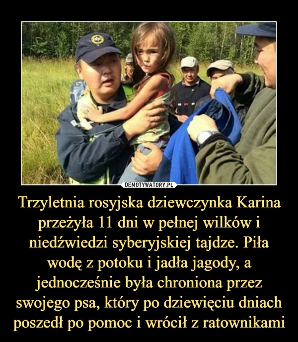 Trzyletnia rosyjska dziewczynka Karina przeżyła 11 dni w pełnej wilków i niedźwiedzi syberyjskiej tajdze. Piła wodę z potoku i jadła jagody, a jednocześnie była chroniona przez swojego psa, który po dziewięciu dniach poszedł po pomoc i wrócił z ratownikami