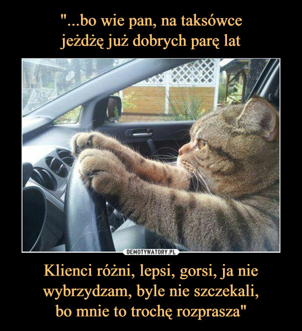 Klienci różni, lepsi, gorsi, ja nie wybrzydzam, byle nie szczekali,bo mnie to trochę rozprasza" –  