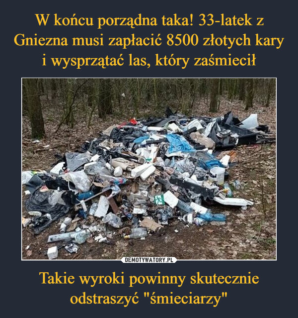 W końcu porządna taka! 33-latek z Gniezna musi zapłacić 8500 złotych kary i wysprzątać las, który zaśmiecił Takie wyroki powinny skutecznie odstraszyć "śmieciarzy"