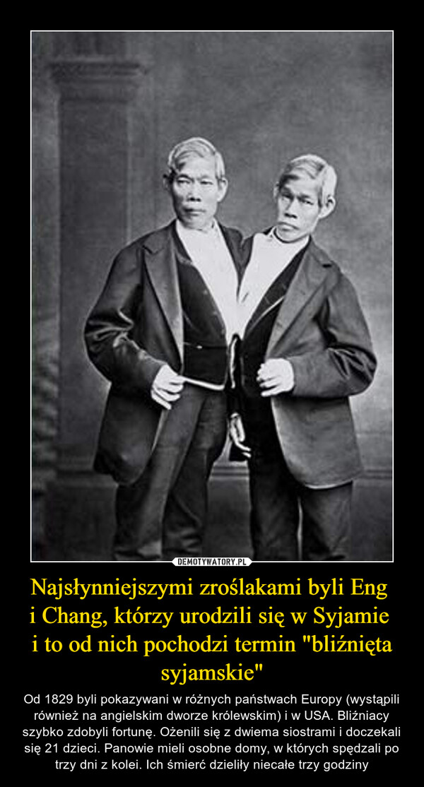 Najsłynniejszymi zroślakami byli Eng i Chang, którzy urodzili się w Syjamie i to od nich pochodzi termin "bliźnięta syjamskie" – Od 1829 byli pokazywani w różnych państwach Europy (wystąpili również na angielskim dworze królewskim) i w USA. Bliźniacy szybko zdobyli fortunę. Ożenili się z dwiema siostrami i doczekali się 21 dzieci. Panowie mieli osobne domy, w których spędzali po trzy dni z kolei. Ich śmierć dzieliły niecałe trzy godziny 