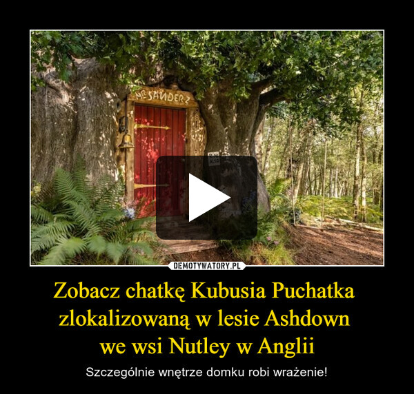 Zobacz chatkę Kubusia Puchatka zlokalizowaną w lesie Ashdown we wsi Nutley w Anglii – Szczególnie wnętrze domku robi wrażenie! 