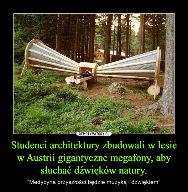 Studenci architektury zbudowali w lesie w Austrii gigantyczne megafony, aby słuchać dźwięków natury.