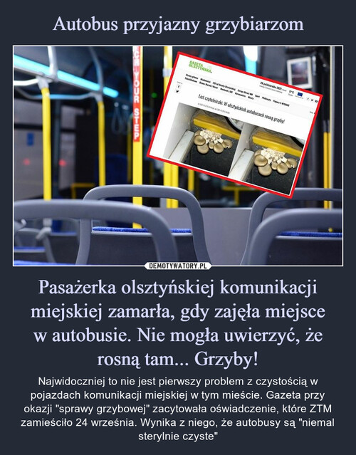 Autobus przyjazny grzybiarzom Pasażerka olsztyńskiej komunikacji miejskiej zamarła, gdy zajęła miejsce
w autobusie. Nie mogła uwierzyć, że rosną tam... Grzyby!