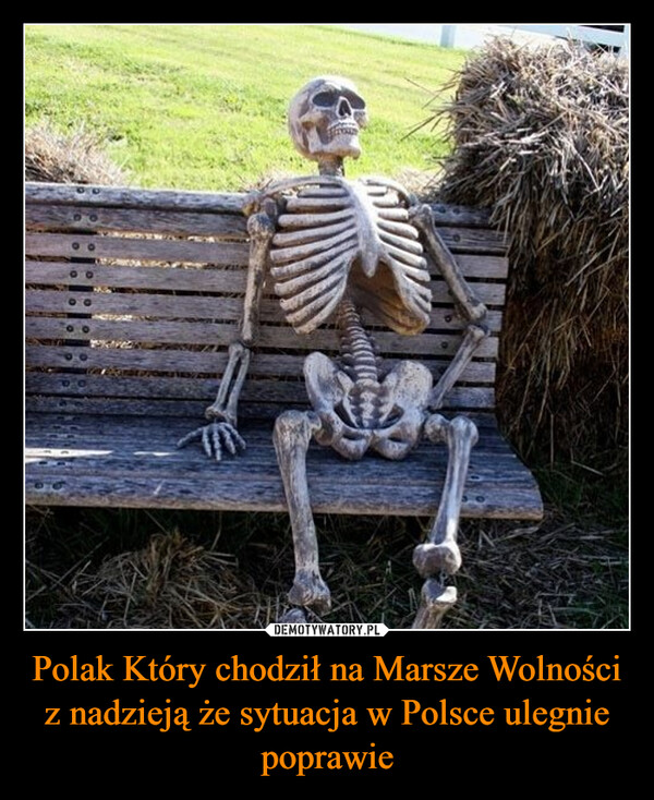 Polak Który chodził na Marsze Wolności z nadzieją że sytuacja w Polsce ulegnie poprawie