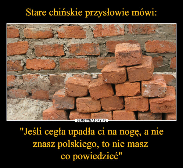 "Jeśli cegła upadła ci na nogę, a nie znasz polskiego, to nie masz co powiedzieć" –  