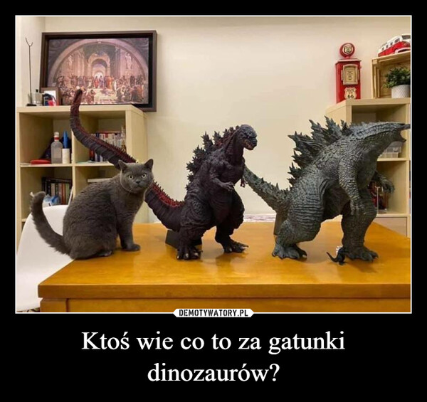 Ktoś wie co to za gatunki dinozaurów? –  