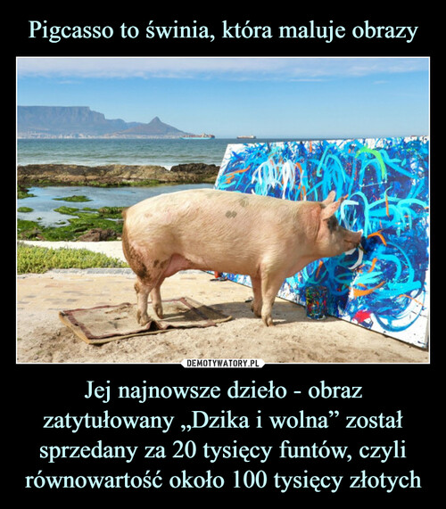 Pigcasso to świnia, która maluje obrazy Jej najnowsze dzieło - obraz zatytułowany „Dzika i wolna” został sprzedany za 20 tysięcy funtów, czyli równowartość około 100 tysięcy złotych