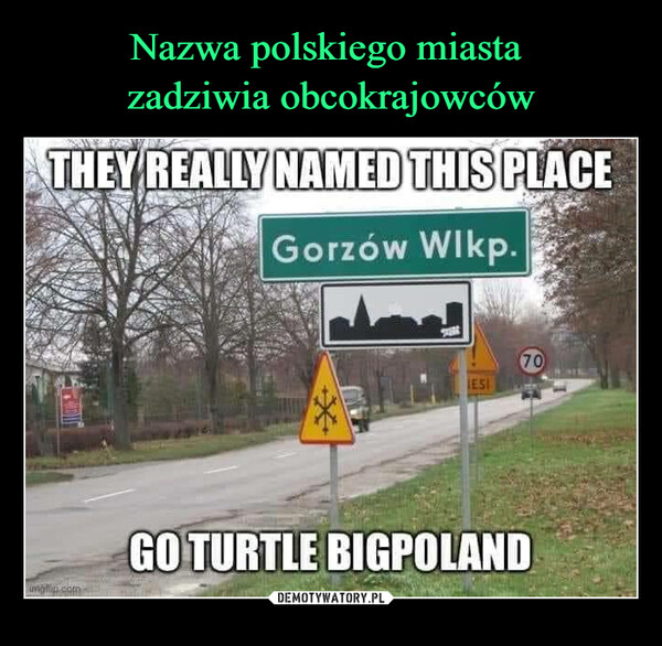  –  THEY REALLY NAMED THIS PLACEGO TURTLE BIGPOLANDGorzów Wlkp.