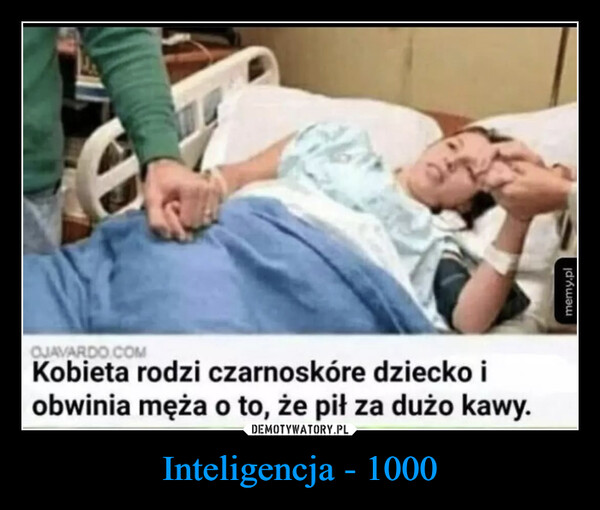 Inteligencja - 1000 –  