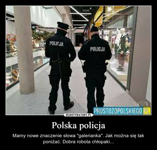 Polska policja – Mamy nowe znaczenie słowa "galerianka". Jak można się tak poniżać. Dobra robota chłopaki... 