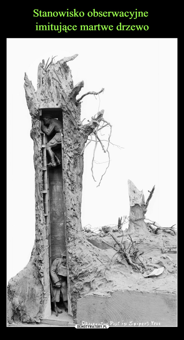 Stanowisko obserwacyjne 
imitujące martwe drzewo
