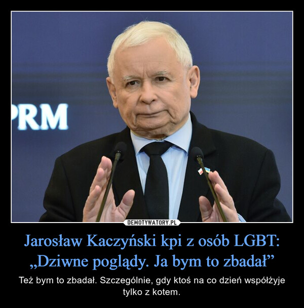 Jarosław Kaczyński kpi z osób LGBT: „Dziwne poglądy. Ja bym to zbadał” – Też bym to zbadał. Szczególnie, gdy ktoś na co dzień współżyje tylko z kotem. 