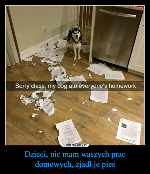 Dzieci, nie mam waszych prac domowych, zjadł je pies –  