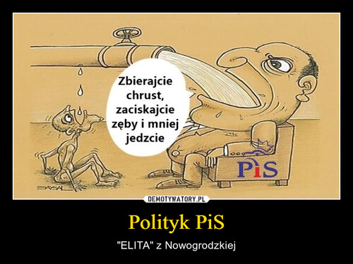 Polityk PiS