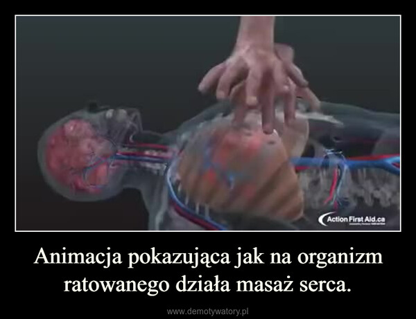 Animacja pokazująca jak na organizm ratowanego działa masaż serca. –  