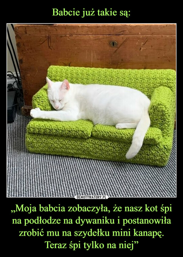 „Moja babcia zobaczyła, że nasz kot śpi na podłodze na dywaniku i postanowiła zrobić mu na szydełku mini kanapę. Teraz śpi tylko na niej” –  
