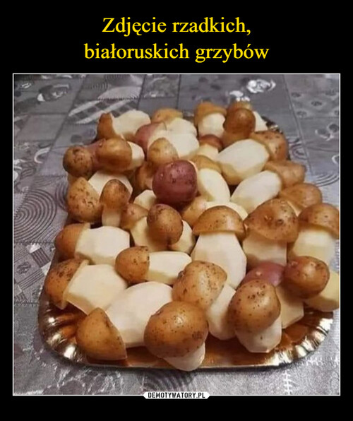 Zdjęcie rzadkich,
białoruskich grzybów