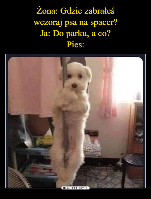  –  