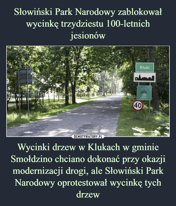 Wycinki drzew w Klukach w gminie Smołdzino chciano dokonać przy okazji modernizacji drogi, ale Słowiński Park Narodowy oprotestował wycinkę tych drzew –  Kluki