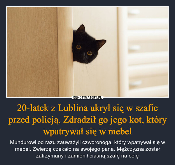 20-latek z Lublina ukrył się w szafie przed policją. Zdradził go jego kot, który wpatrywał się w mebel – Mundurowi od razu zauważyli czworonoga, który wpatrywał się w mebel. Zwierzę czekało na swojego pana. Mężczyzna został zatrzymany i zamienił ciasną szafę na celę 