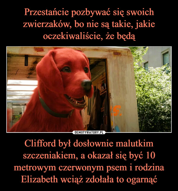 Przestańcie pozbywać się swoich zwierzaków, bo nie są takie, jakie oczekiwaliście, że będą Clifford był dosłownie malutkim szczeniakiem, a okazał się być 10 metrowym czerwonym psem i rodzina Elizabeth wciąż zdołała to ogarnąć