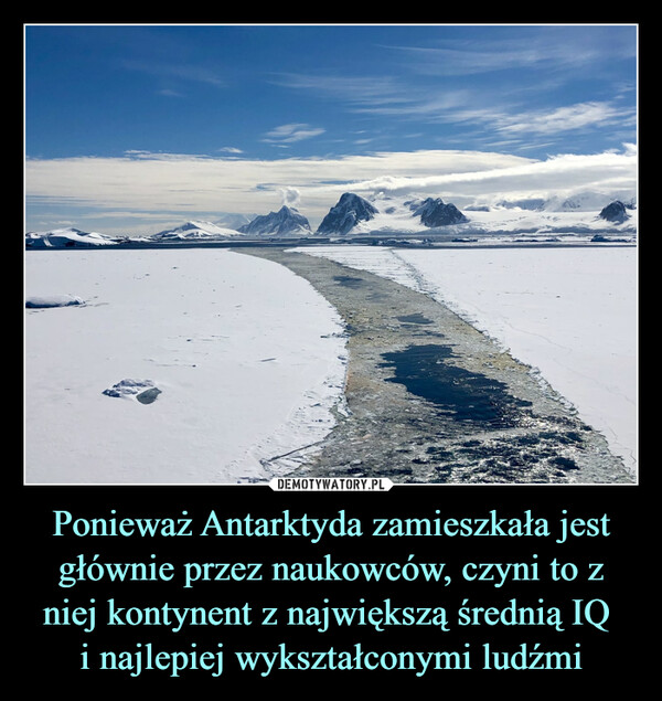 Ponieważ Antarktyda zamieszkała jest głównie przez naukowców, czyni to z niej kontynent z największą średnią IQ 
i najlepiej wykształconymi ludźmi