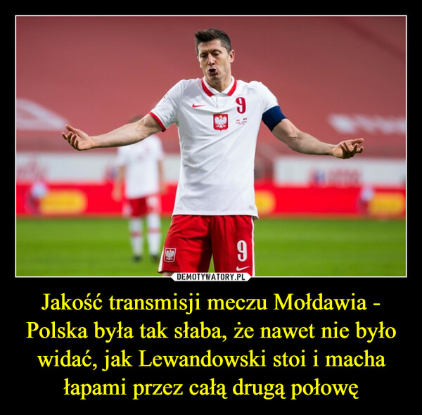 Jakość transmisji meczu Mołdawia - Polska była tak słaba, że nawet nie było widać, jak Lewandowski stoi i macha łapami przez całą drugą połowę