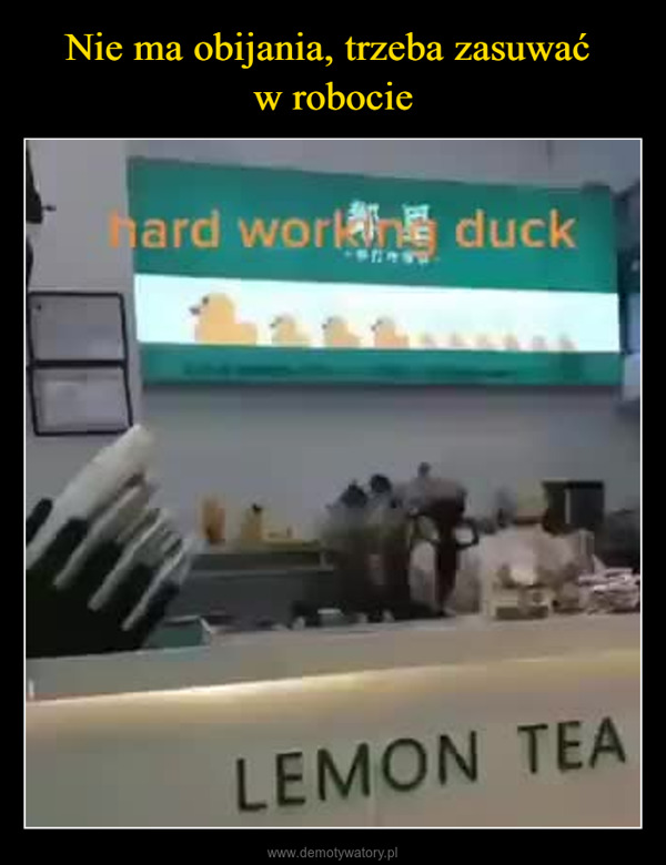  –  hard work duckLEMON TEA