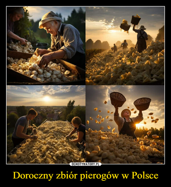 Doroczny zbiór pierogów w Polsce –  
