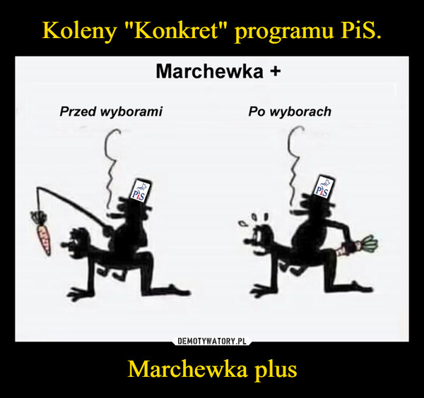 Marchewka plus –  Marchewka +Przed wyboramiPo wyborachPISPis搓搓