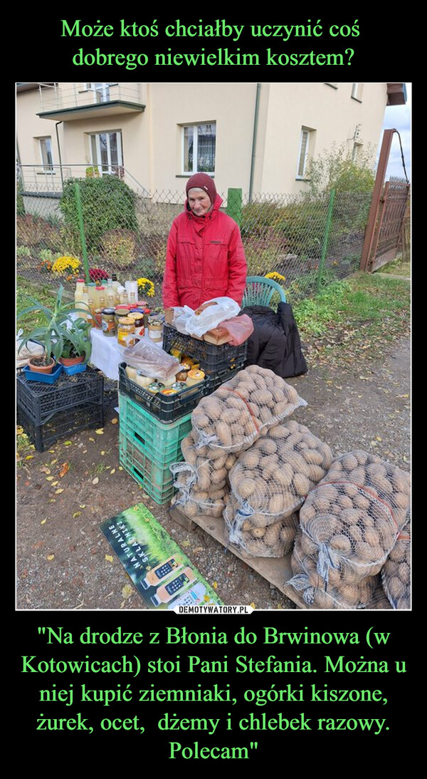 "Na drodze z Błonia do Brwinowa (w Kotowicach) stoi Pani Stefania. Można u niej kupić ziemniaki, ogórki kiszone, żurek, ocet,  dżemy i chlebek razowy. Polecam" –  NATURALNES.KLADNIKITHE ENTERNAS6[18CE