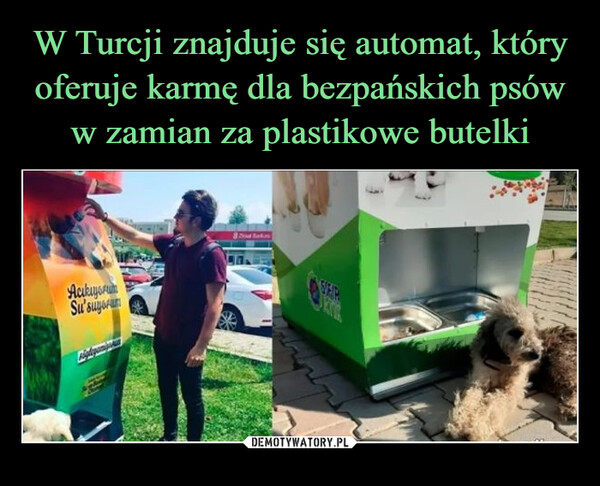 W Turcji znajduje się automat, który oferuje karmę dla bezpańskich psów w zamian za plastikowe butelki