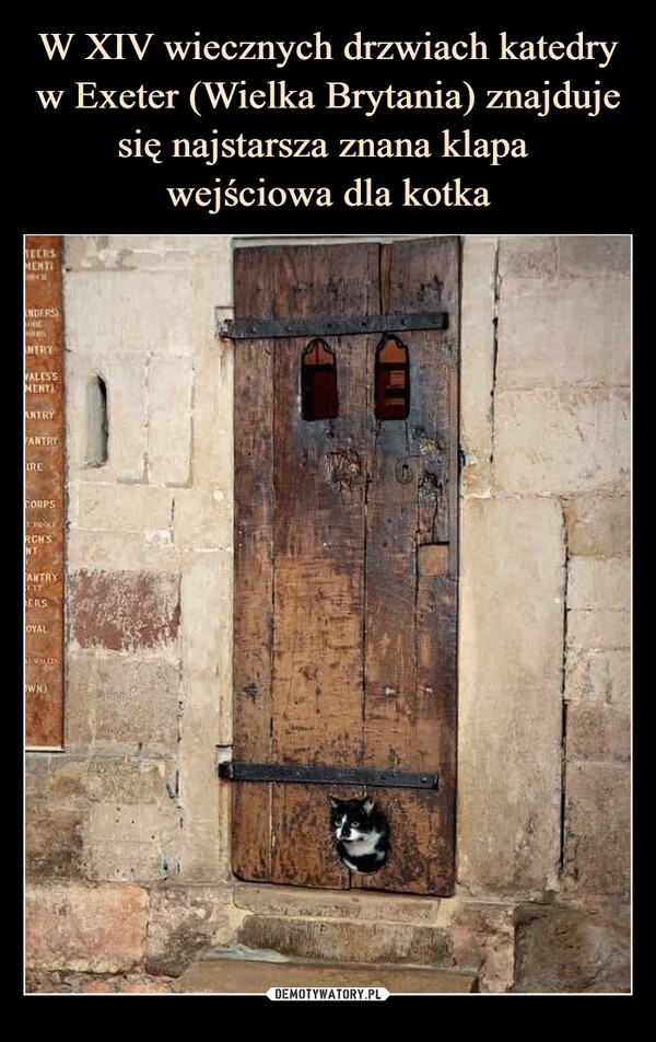  –  At the Exeter Cathedral in the UK, thereis a 14th-century door featuring theworld's oldest-known cat flap.RDERS)ENTRYALESSMENTIANTRYFANTRYIRECORPS-1.POLIRCH'SNTANTRYETYERSOYALCALLESWH)