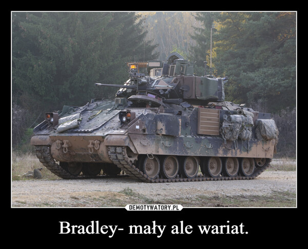 Bradley- mały ale wariat. –  X5THIS SIDE OFFTHIS SIDE OFFPLOCABALEN
