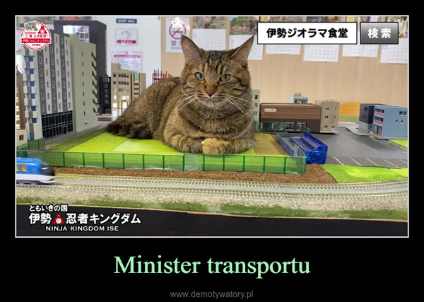 Minister transportu –  NE BEBE由出图用目n1011