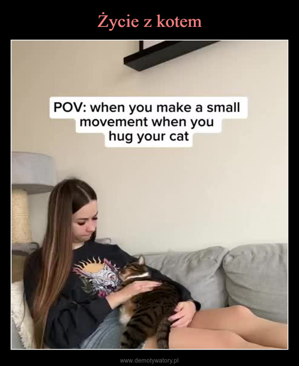  –  POV: when you make a smallmovement when youhug your cat760