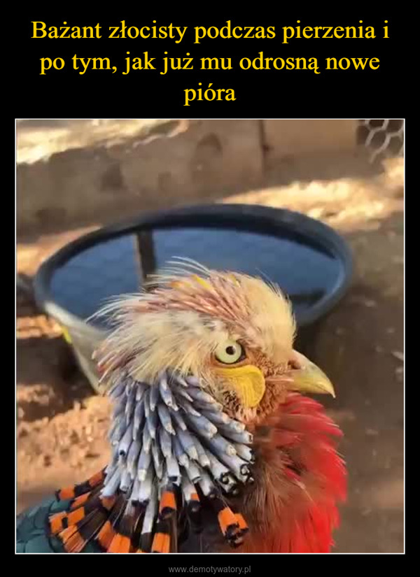  –  