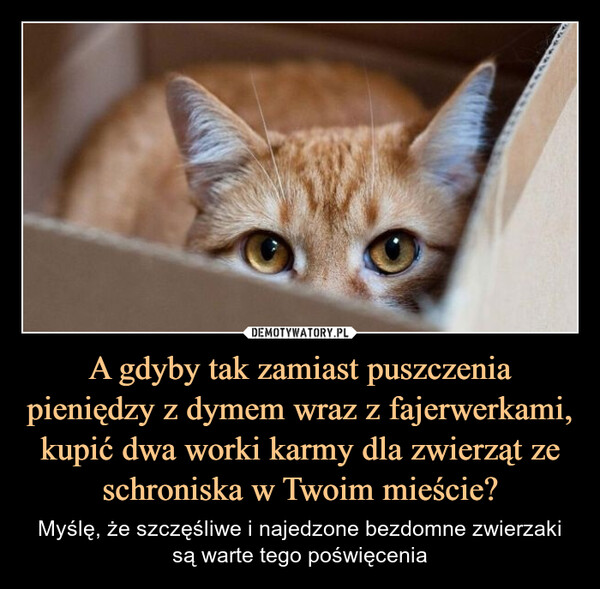A gdyby tak zamiast puszczenia pieniędzy z dymem wraz z fajerwerkami, kupić dwa worki karmy dla zwierząt ze schroniska w Twoim mieście? – Myślę, że szczęśliwe i najedzone bezdomne zwierzakisą warte tego poświęcenia 