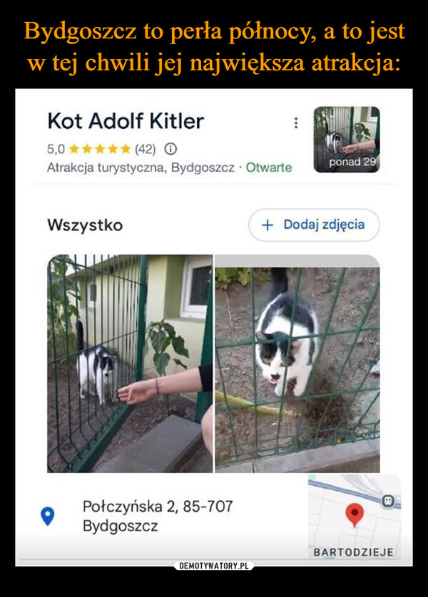  –  Kot Adolf Kitler5,0✰✰✰✰✰(42)Atrakcja turystyczna, Bydgoszcz OtwarteWszystkoPołczyńska 2, 85-707Bydgoszczponad 29+ Dodaj zdjęciaBARTODZIEJE