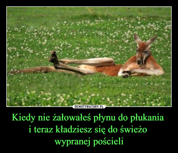 Kiedy nie żałowałeś płynu do płukania i teraz kładziesz się do świeżo wypranej pościeli –  